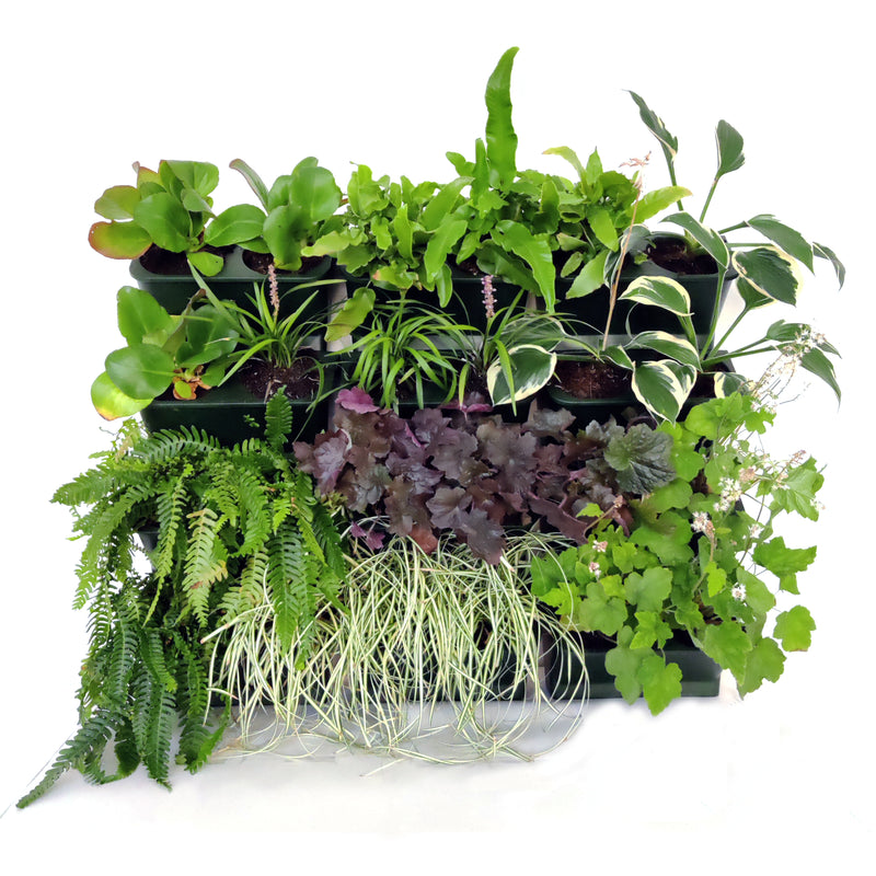 Verticale tuin plantenbak - Groen - Stapelbaar met kliksysteem - 33x15 cm