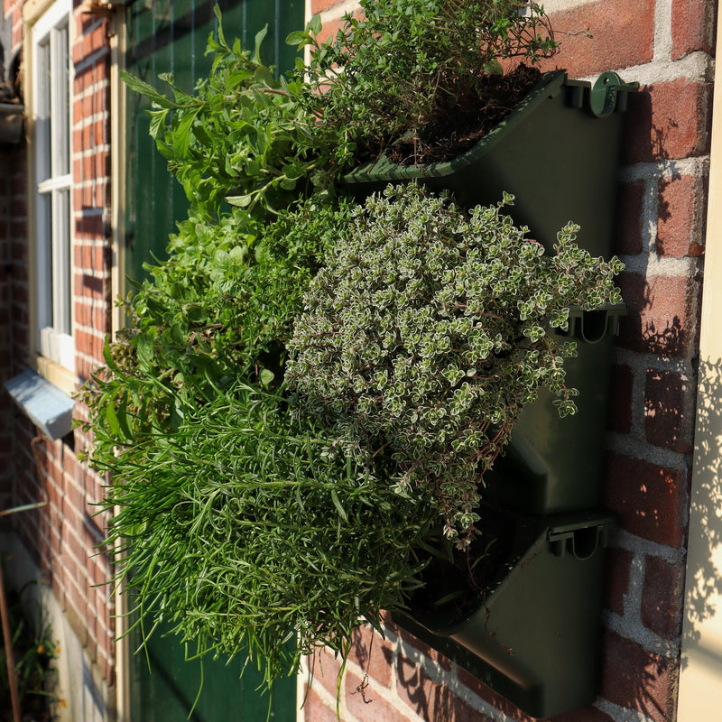 Installeren voorzetsel verraden Verticale tuin plantenbak voor verticale tuinen - 24x14 cm - JungleScape